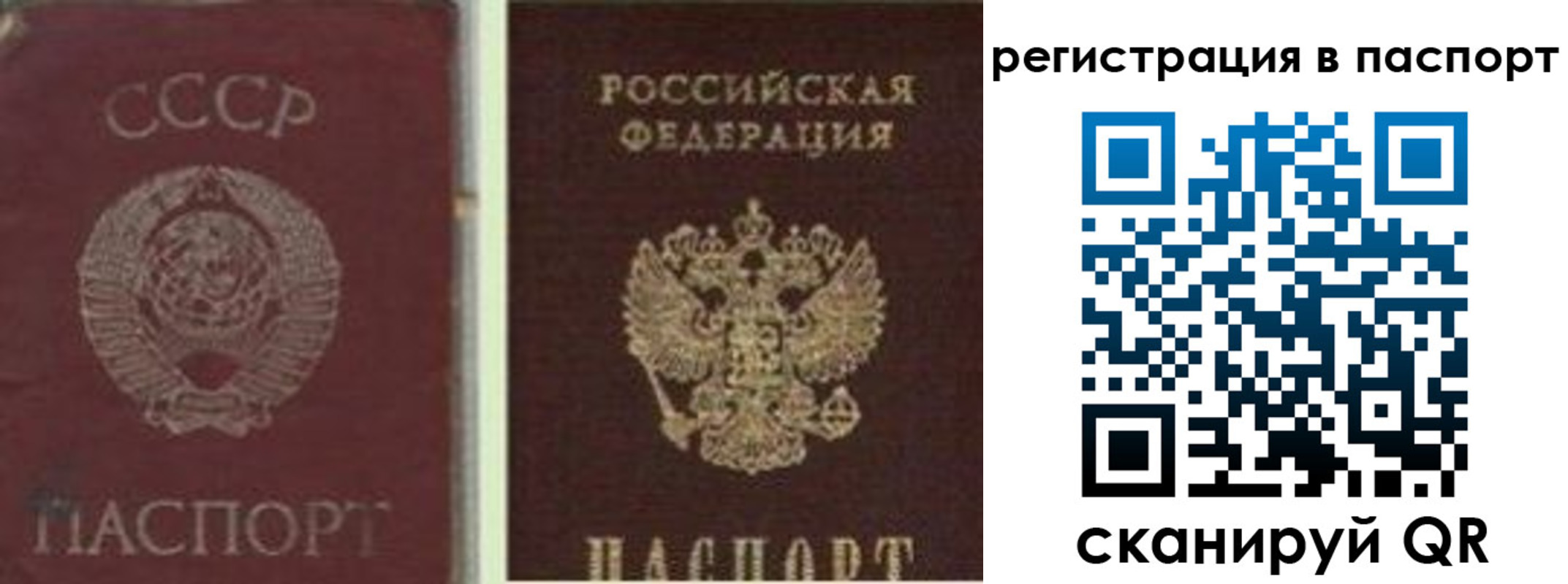 прописка для школы в Красноармейске